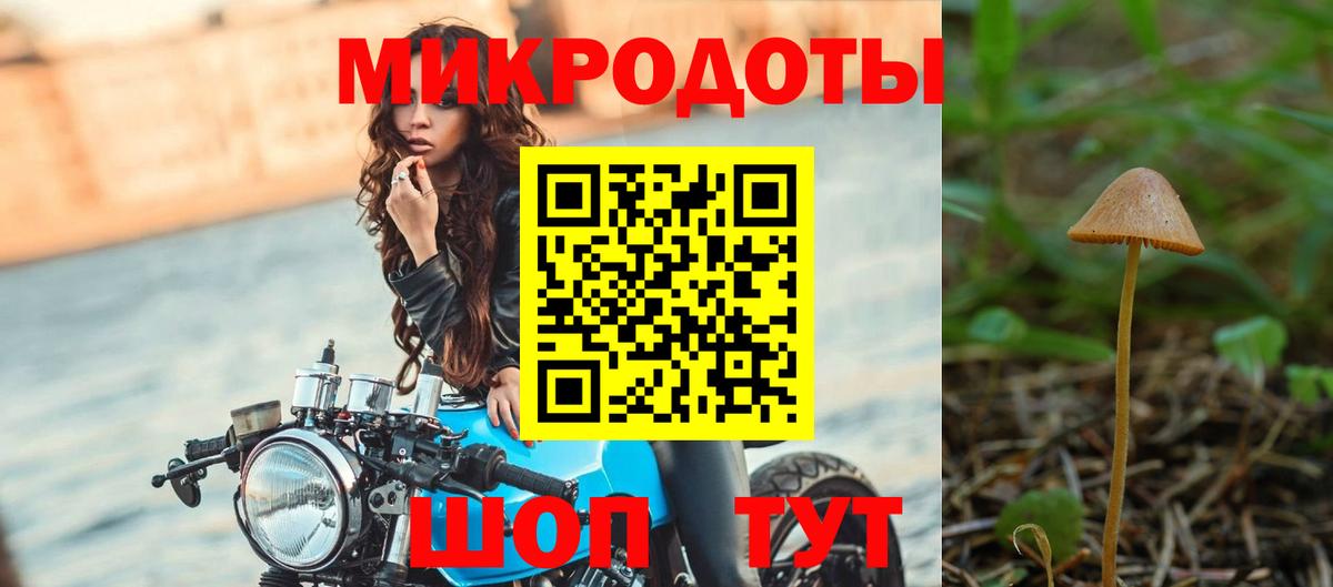 как найти закладки  Вход с VPN  Балтийск  Галлюциногенные грибы GOLDEN TEACHER 